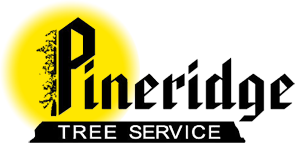 Pineridge Tree Service Logo